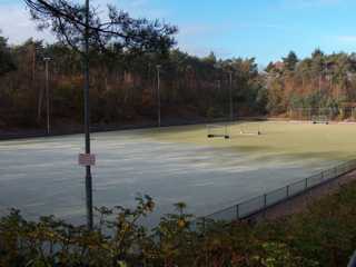 Foto_420.jpg